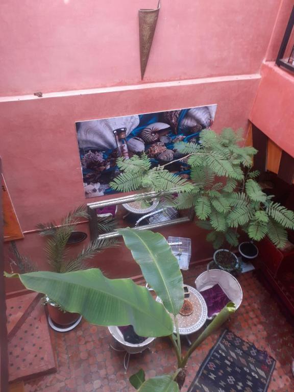 Riad Hanafi Marrakesh Ngoại thất bức ảnh